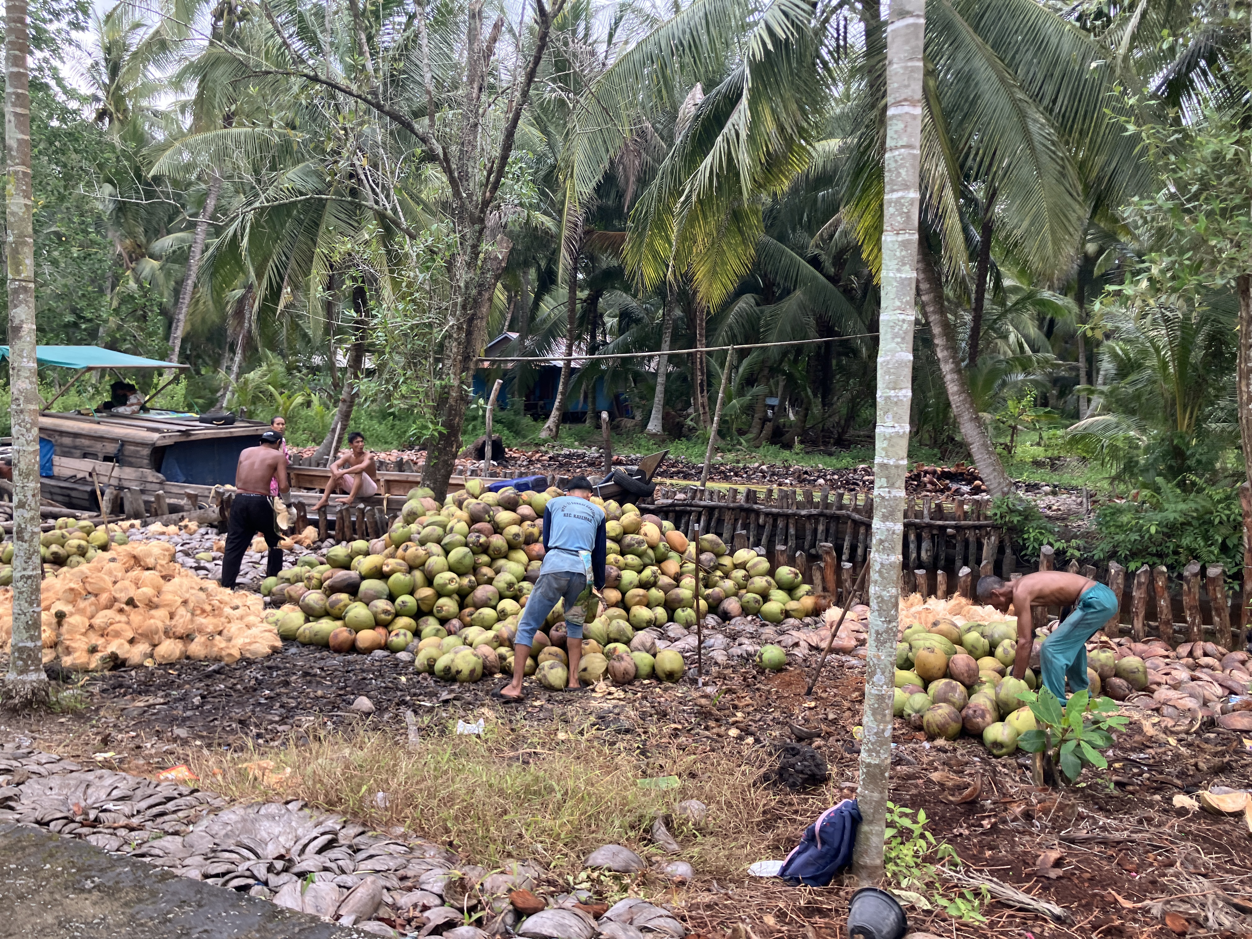 インドネシアにおける持続可能な
地域開発に向けた調査研究 図1